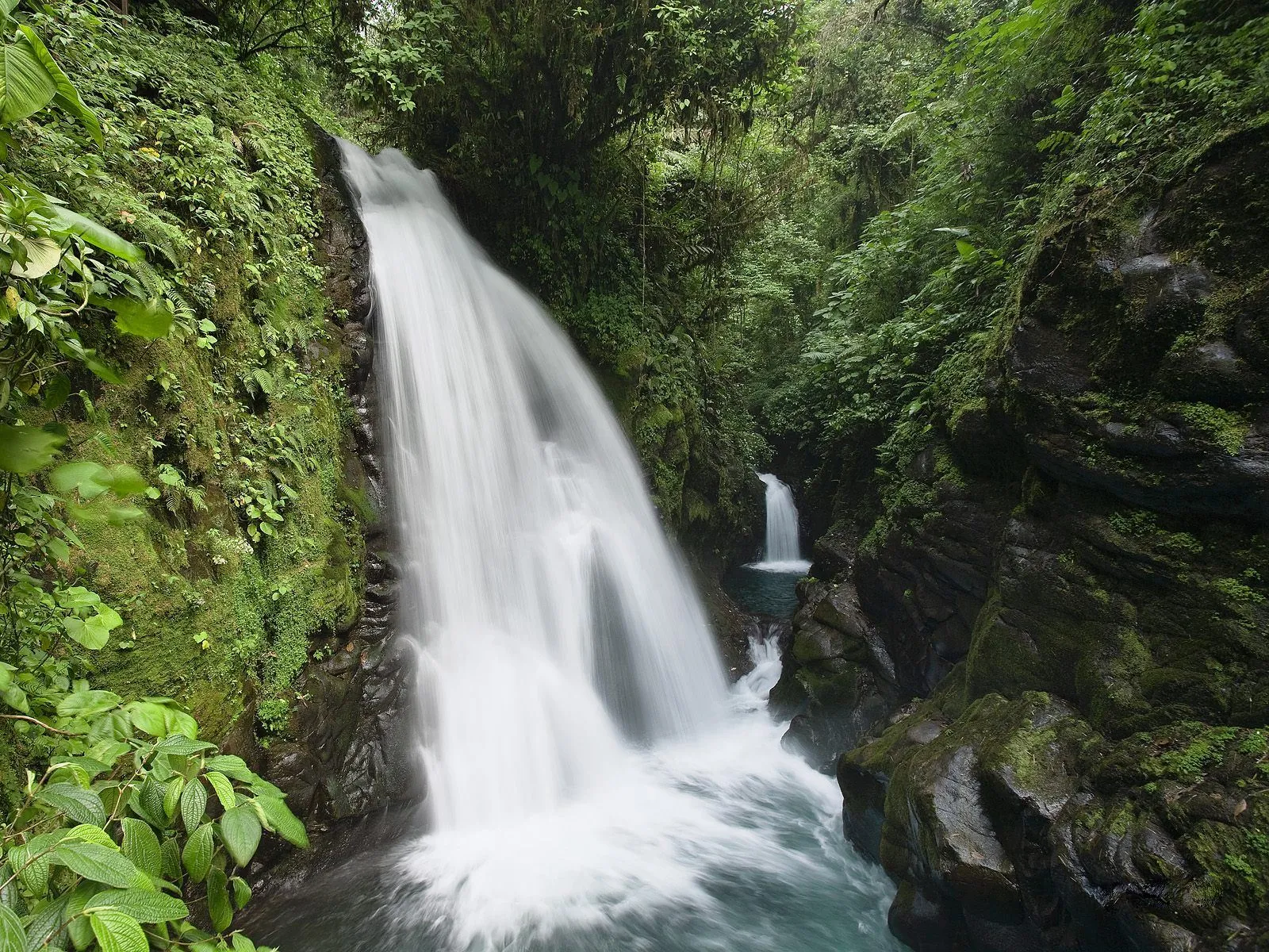 A powerful waterfall cascades down moss-covered rocks in a dense, green jungle.