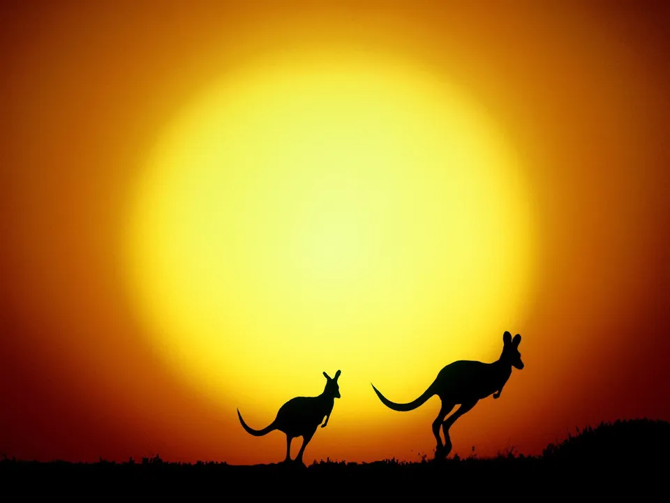 Two kangaroos are silhouetted against a bright yellow and orange sunset.