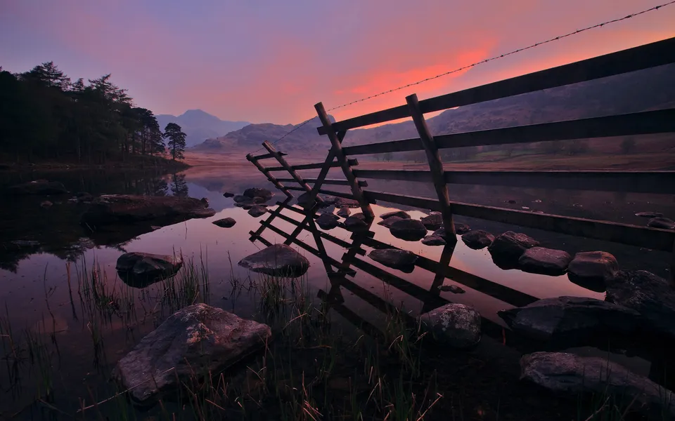 A wooden fence partially submerged in a calm lake reflects the vibrant pink and purple sky at dusk.