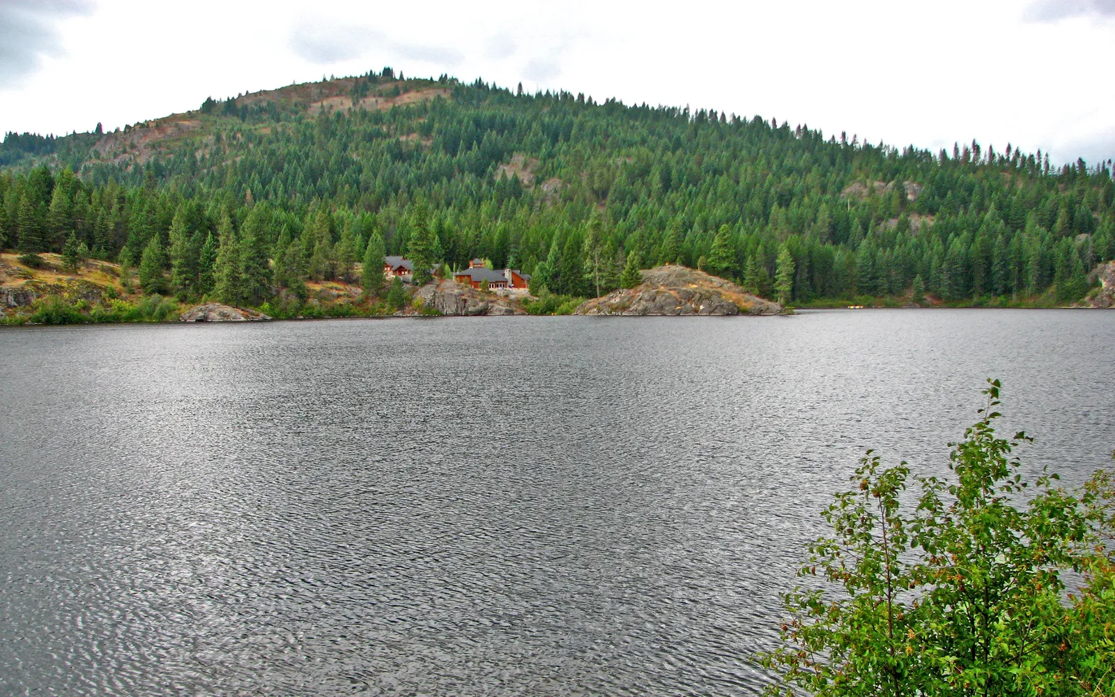A wide lake with a forested hill in the background and houses nestled among the trees.
