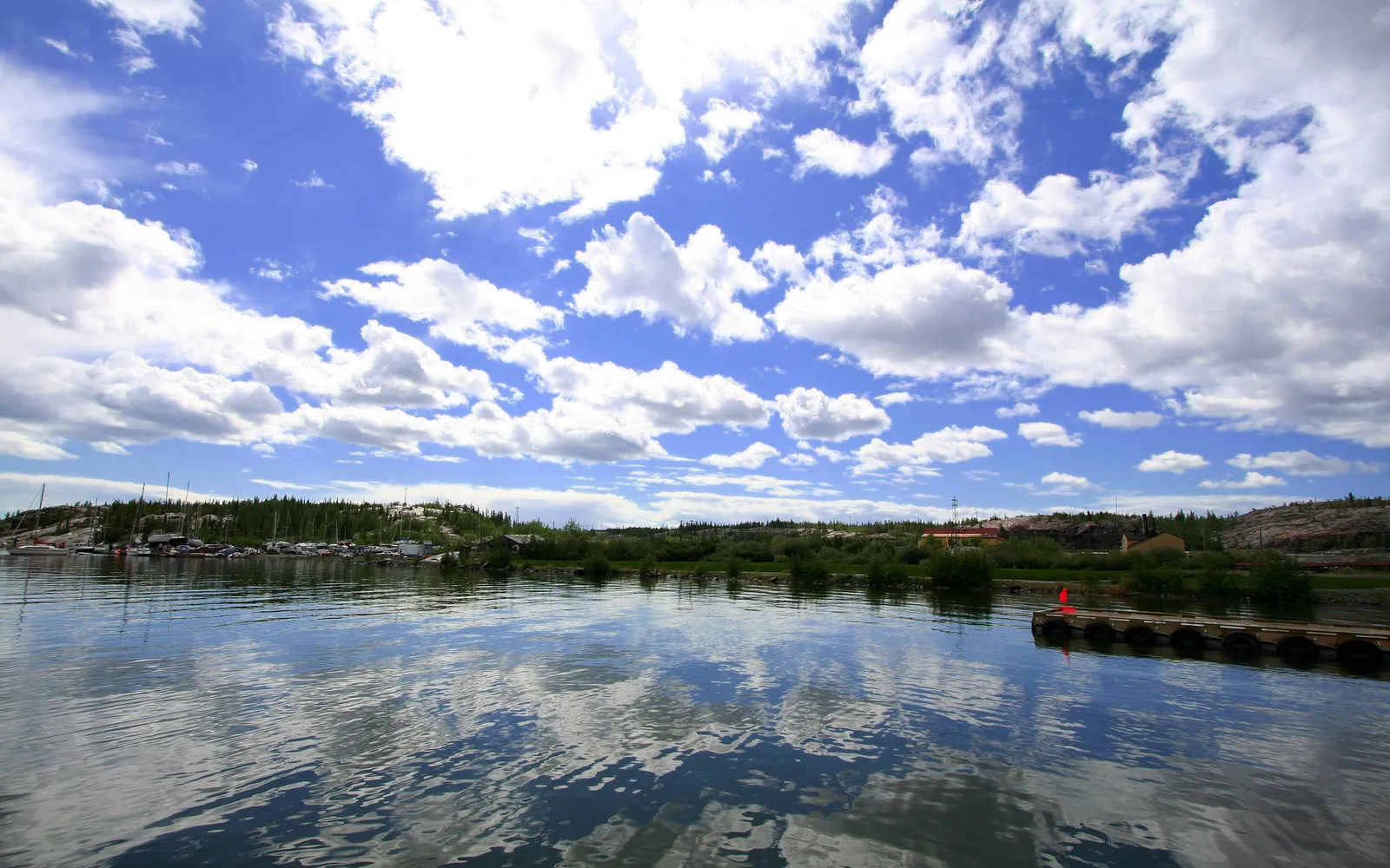 A wide shot of a calm lake with a marina and forested shoreline under a blue sky with white clouds.