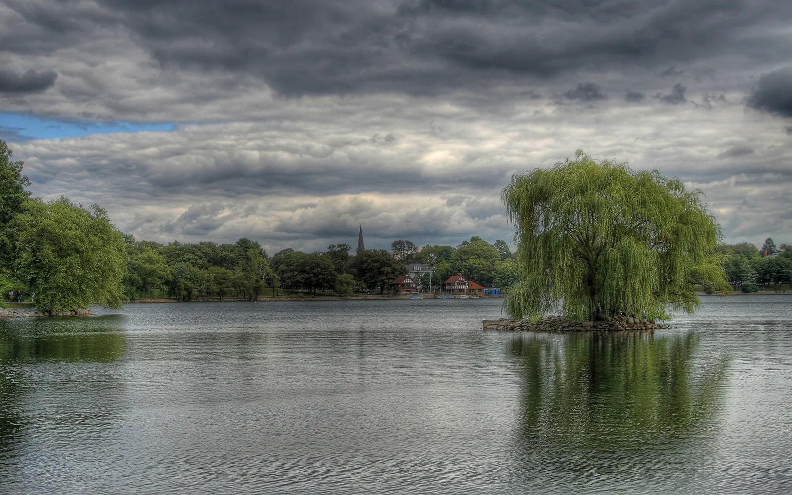 A large weeping willow tree stands on a small island in a calm lake, with a cloudy sky overhead.
