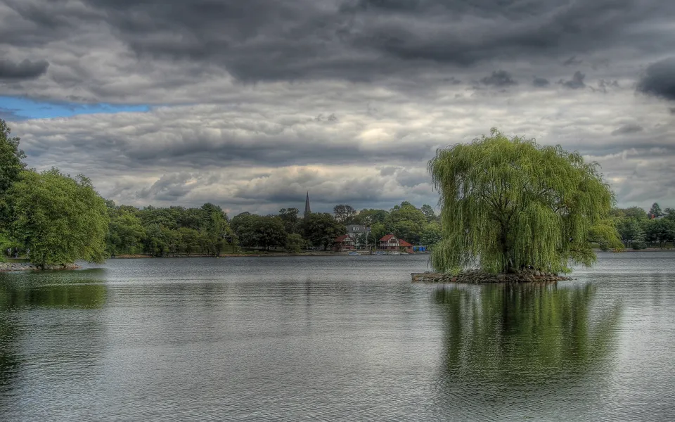 A large weeping willow tree stands on a small island in a calm lake, with a cloudy sky overhead.