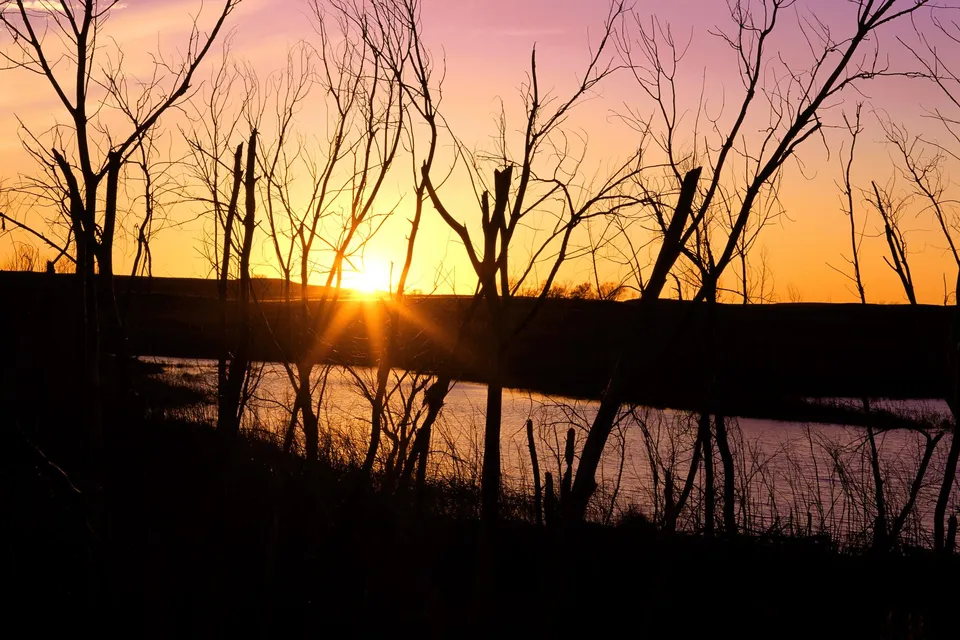 Bare tree branches silhouetted against a vibrant orange and purple sunset over a calm lake.