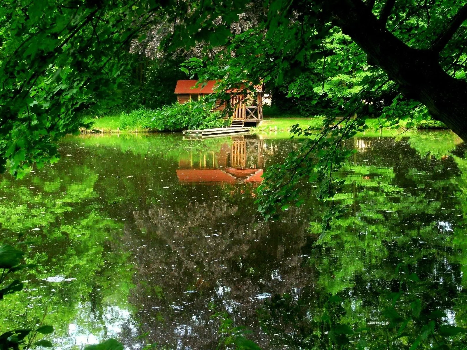 A small wooden cabin with a red roof sits beside a calm lake, reflected in the water.