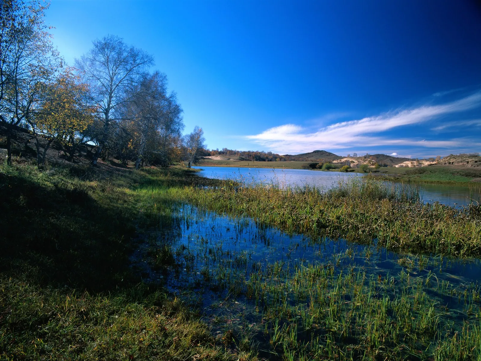 A wide shot of a calm lake with green grass in the foreground and rolling hills under a bright blue sky.