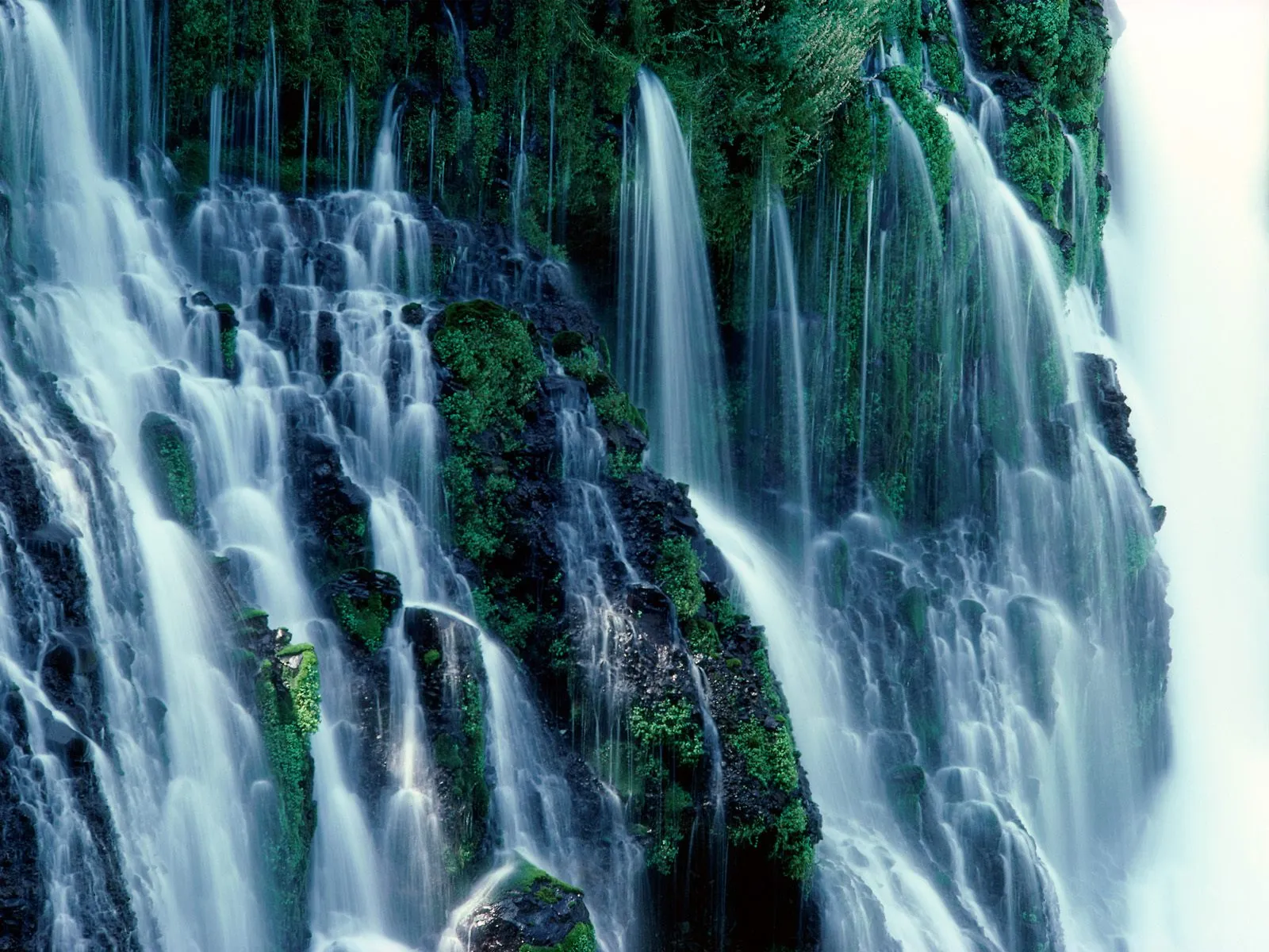 Multiple streams of water flow down a rocky cliff covered in vibrant green moss.