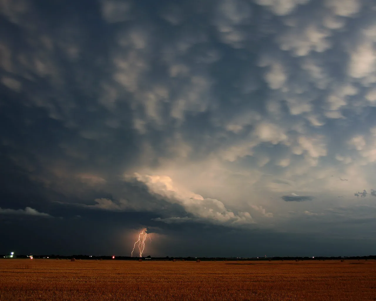 A lightning strike illuminates the dark clouds above a golden field at dusk.