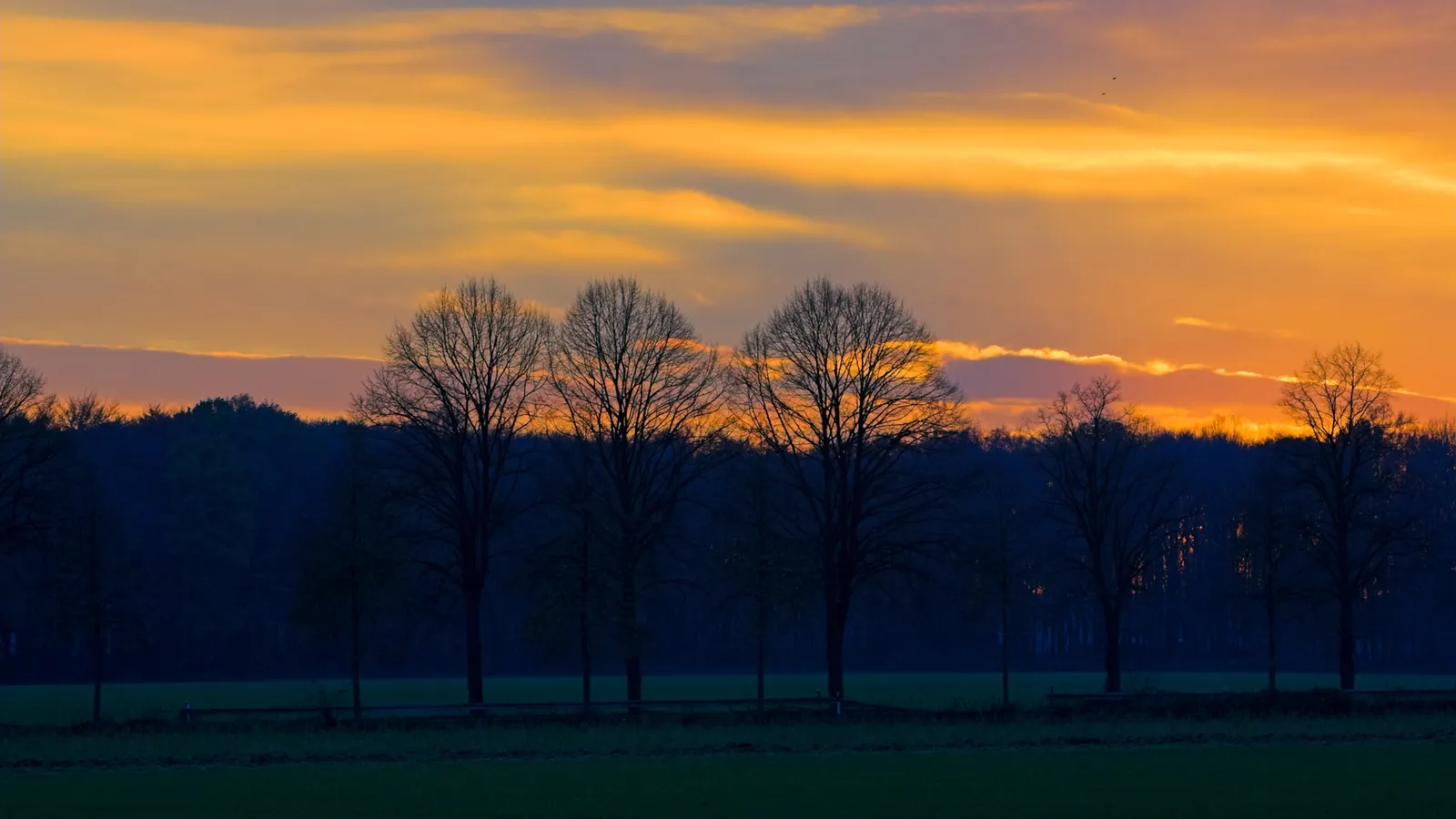Silhouetted trees stand against a sky ablaze with vibrant orange and yellow hues.