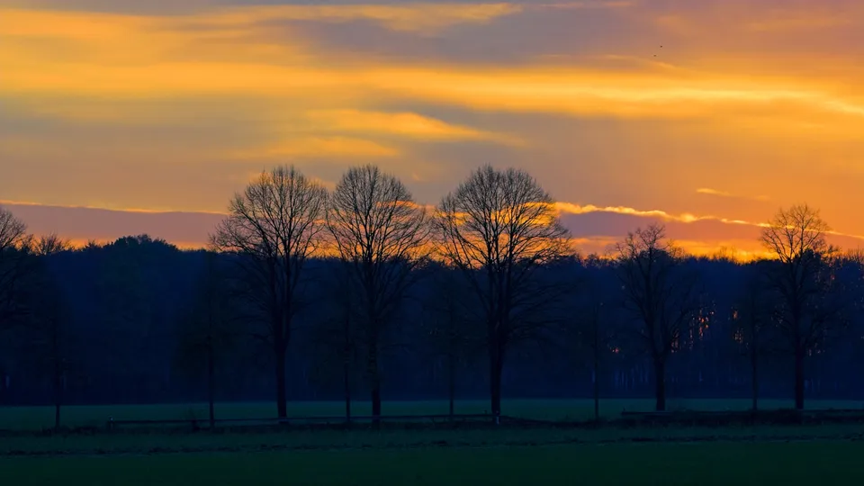 Silhouetted trees stand against a sky ablaze with vibrant orange and yellow hues.
