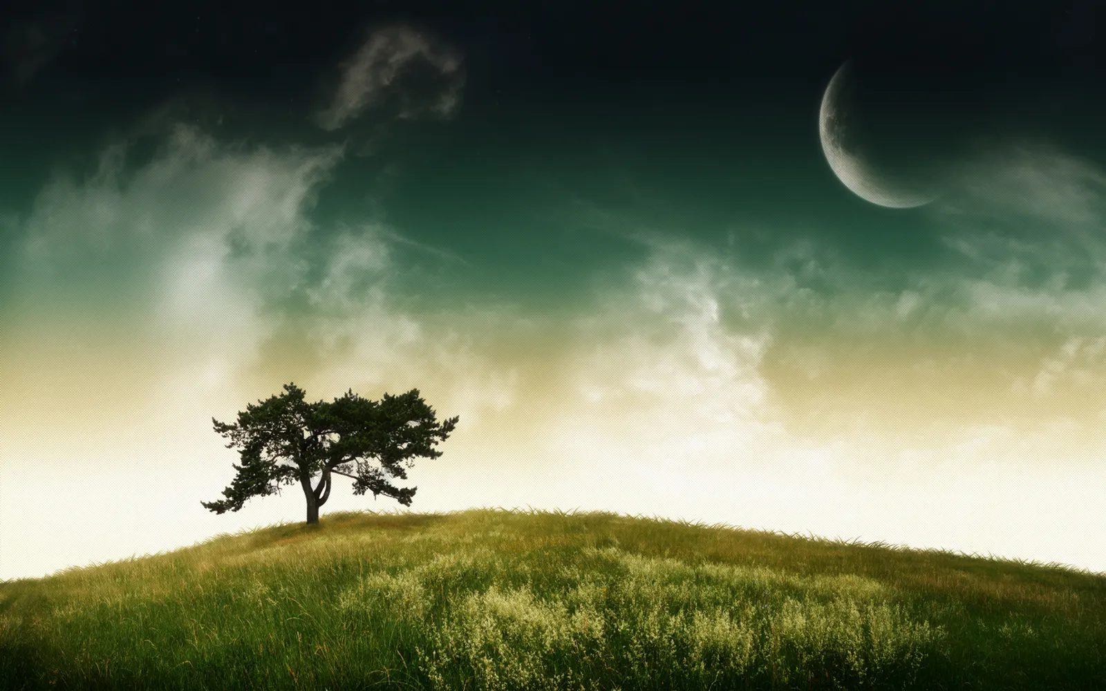 A solitary tree stands on a grassy hill under a dark sky with a crescent moon and clouds.