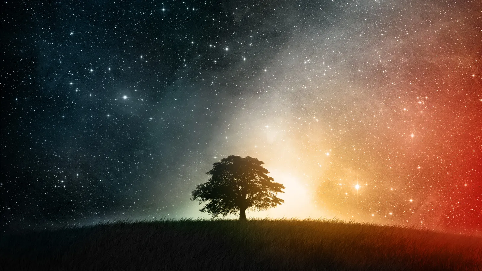A silhouette of a lone tree stands on a grassy hill under a vast night sky filled with stars and cosmic dust.