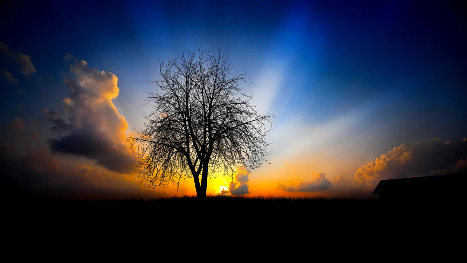 A bare tree stands in silhouette against a vibrant sunset sky with dramatic clouds.