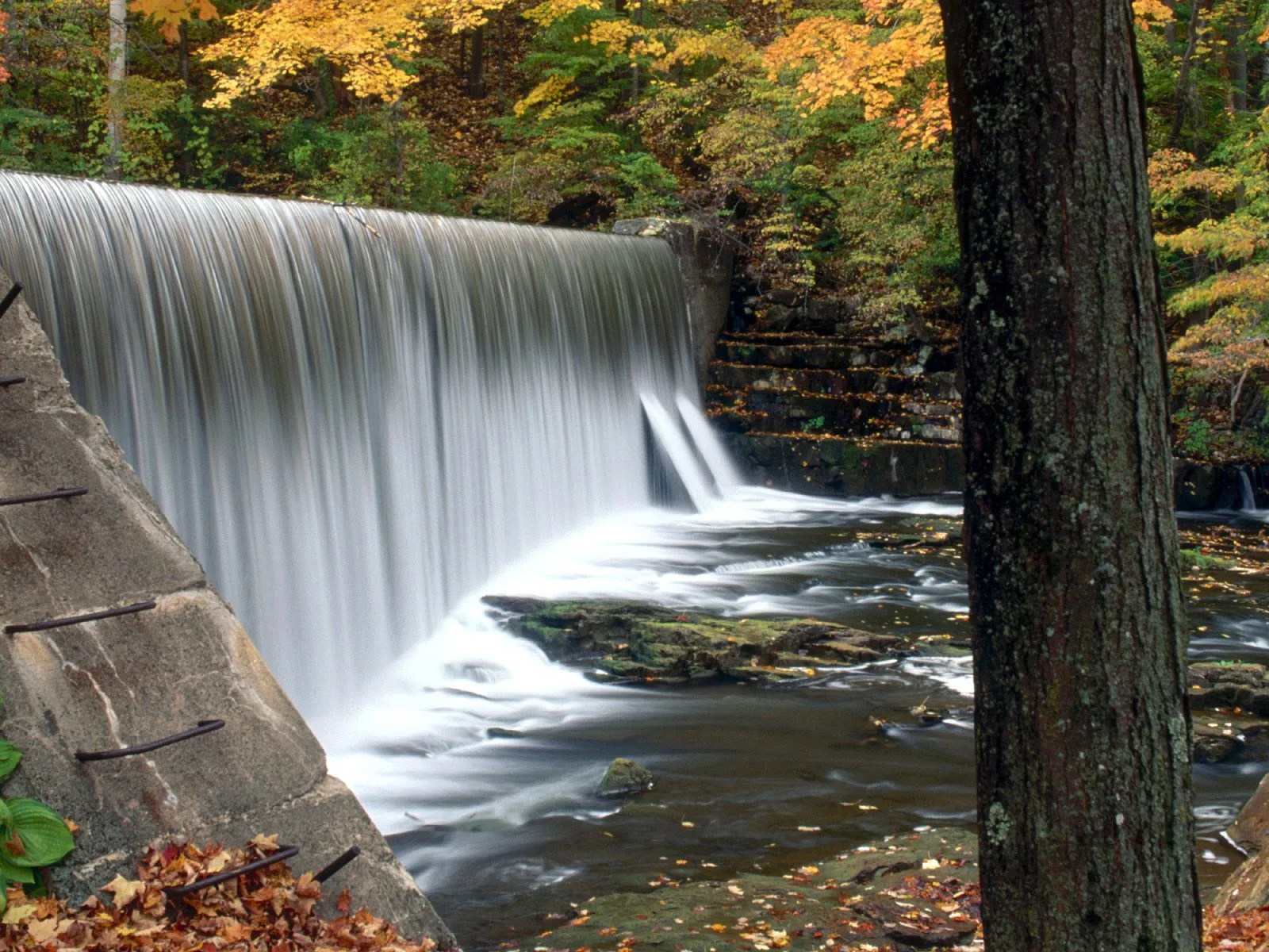 A wide dam waterfall with a silky effect in autumn, surrounded by colorful trees.