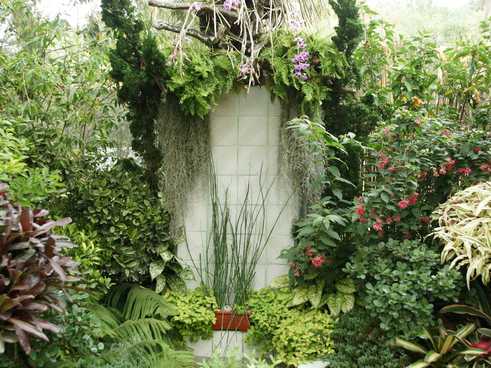 A lush garden scene with various plants, including hanging moss, pink flowers, and ferns, against a tiled wall.