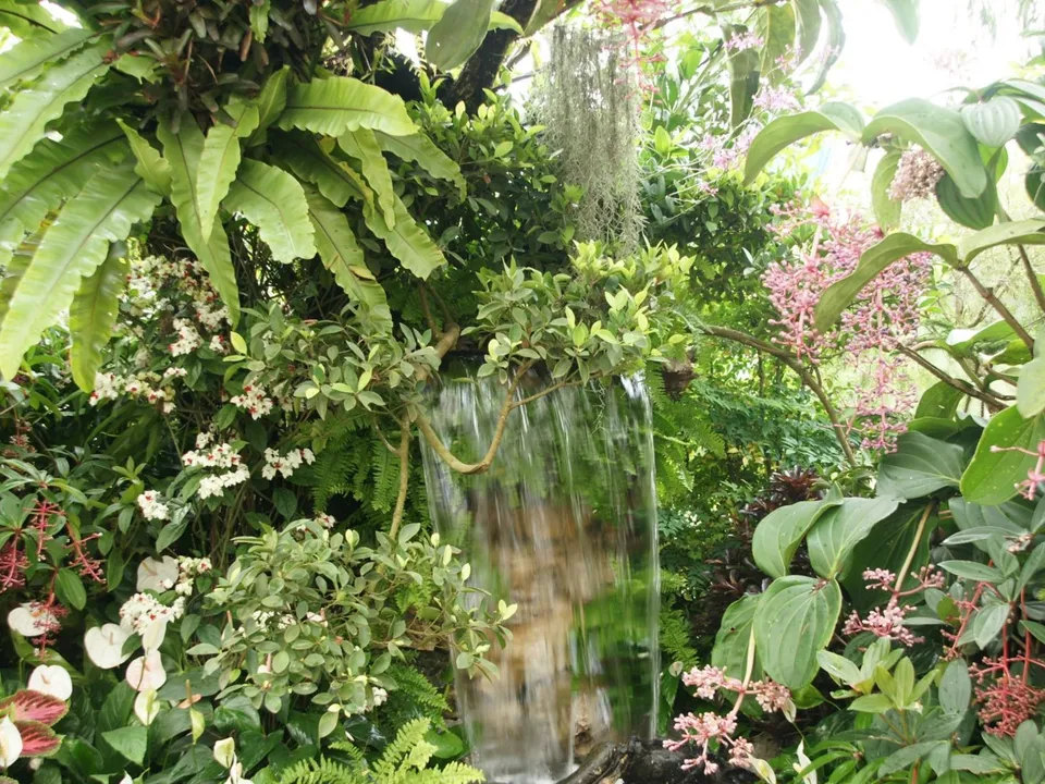A small waterfall cascades down amidst dense green foliage and delicate pink flowers.
