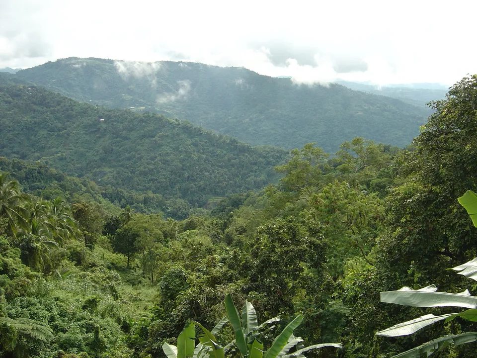 A view of rolling green mountains covered in dense tropical forest, with clouds obscuring the peaks.