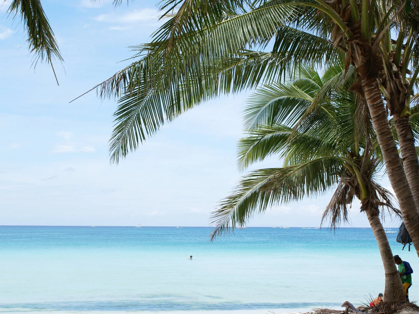 Lush green palm fronds hang over a pristine beach with clear turquoise ocean water.