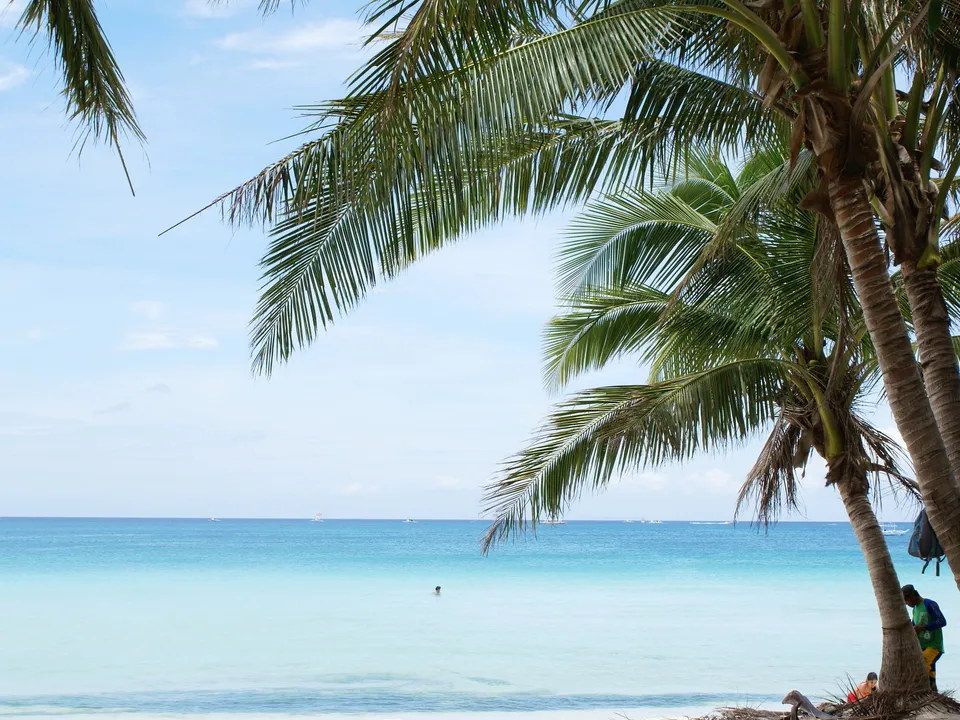 Lush green palm fronds hang over a pristine beach with clear turquoise ocean water.