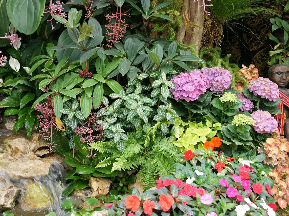 A vibrant display of various plants and flowers, including hydrangeas, impatiens, and ferns, with a small waterfall.