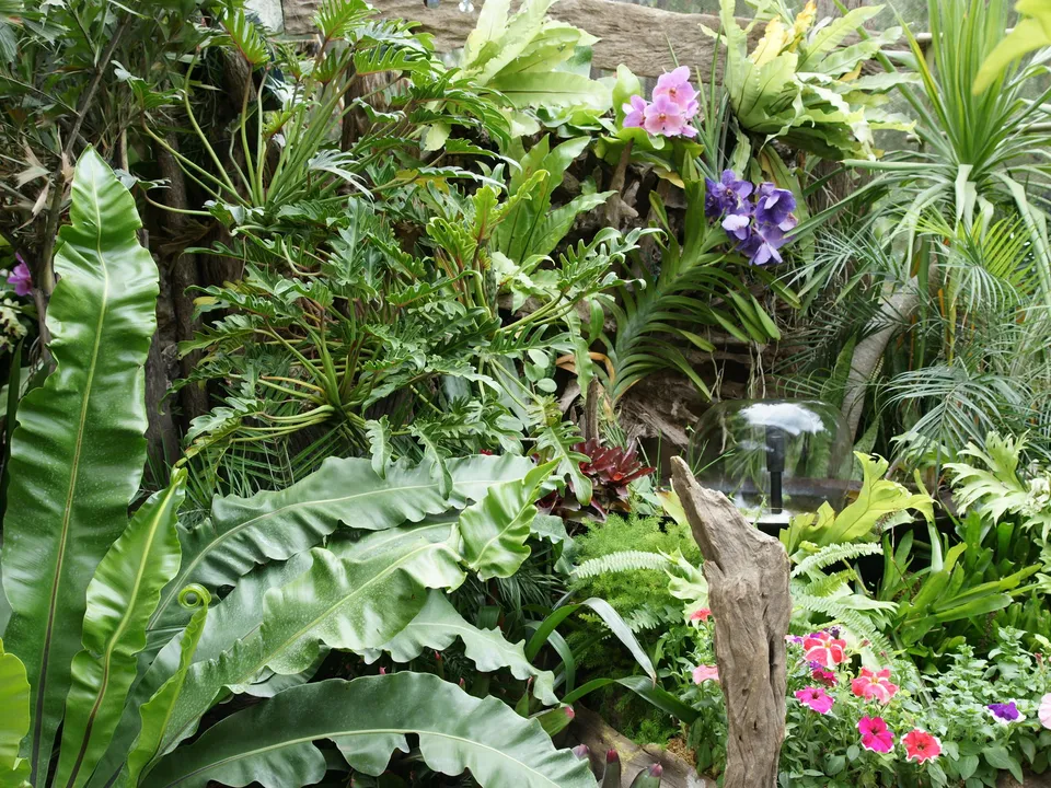 A dense arrangement of tropical plants, including large ferns and colorful flowers, with a small water fountain.