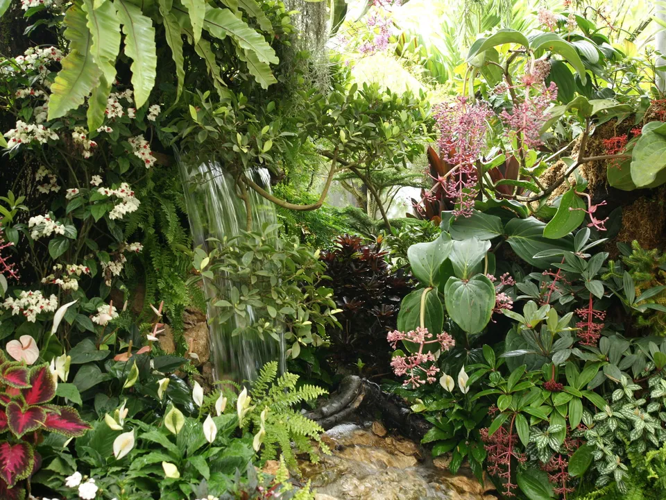 A small waterfall cascades down rocks surrounded by a dense variety of tropical plants and flowers.