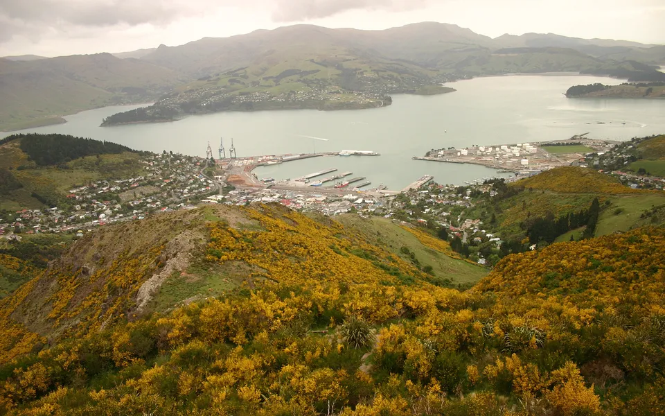 A wide view of Lyttelton Harbour with a town and port facilities nestled between rolling green hills covered in yellow gorse.