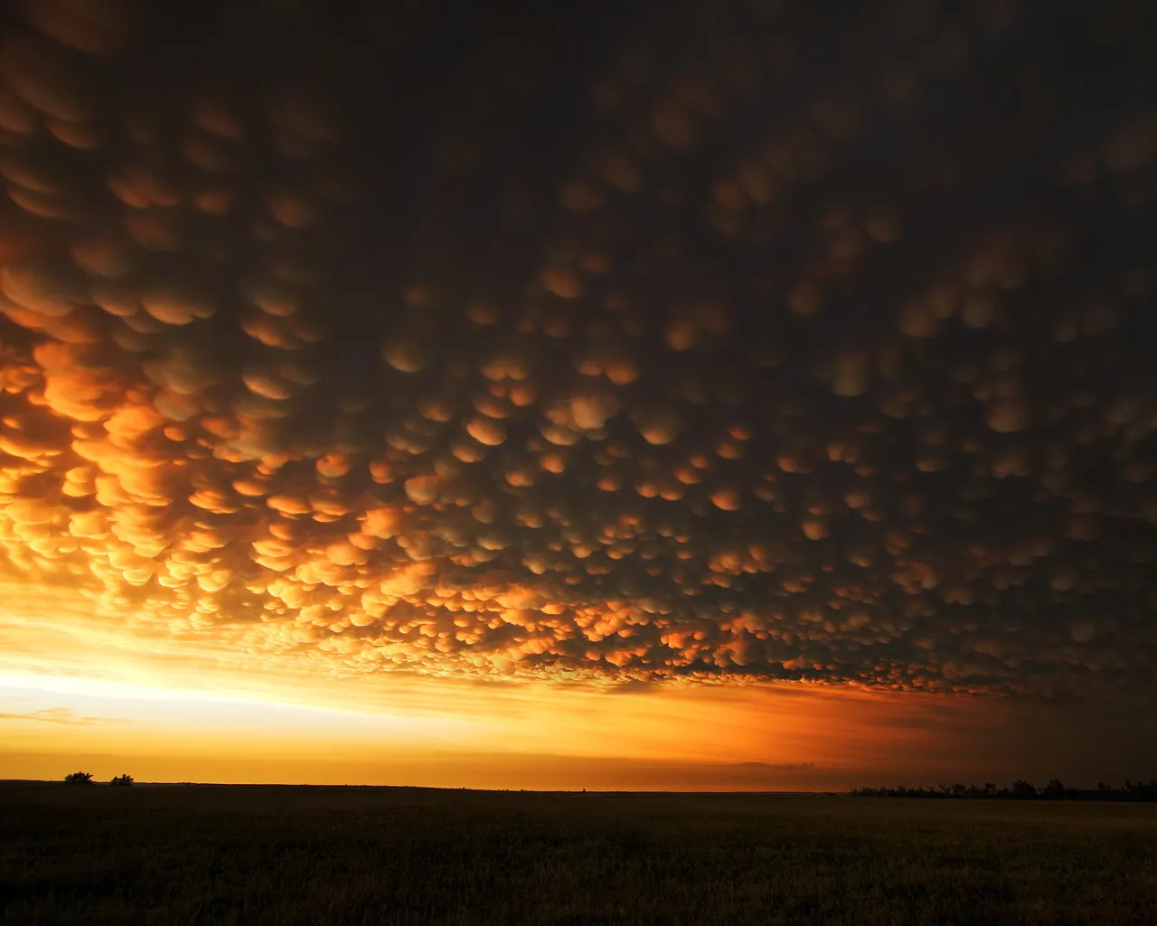 Dramatic mammatus clouds illuminated by sunset glow over a dark field.