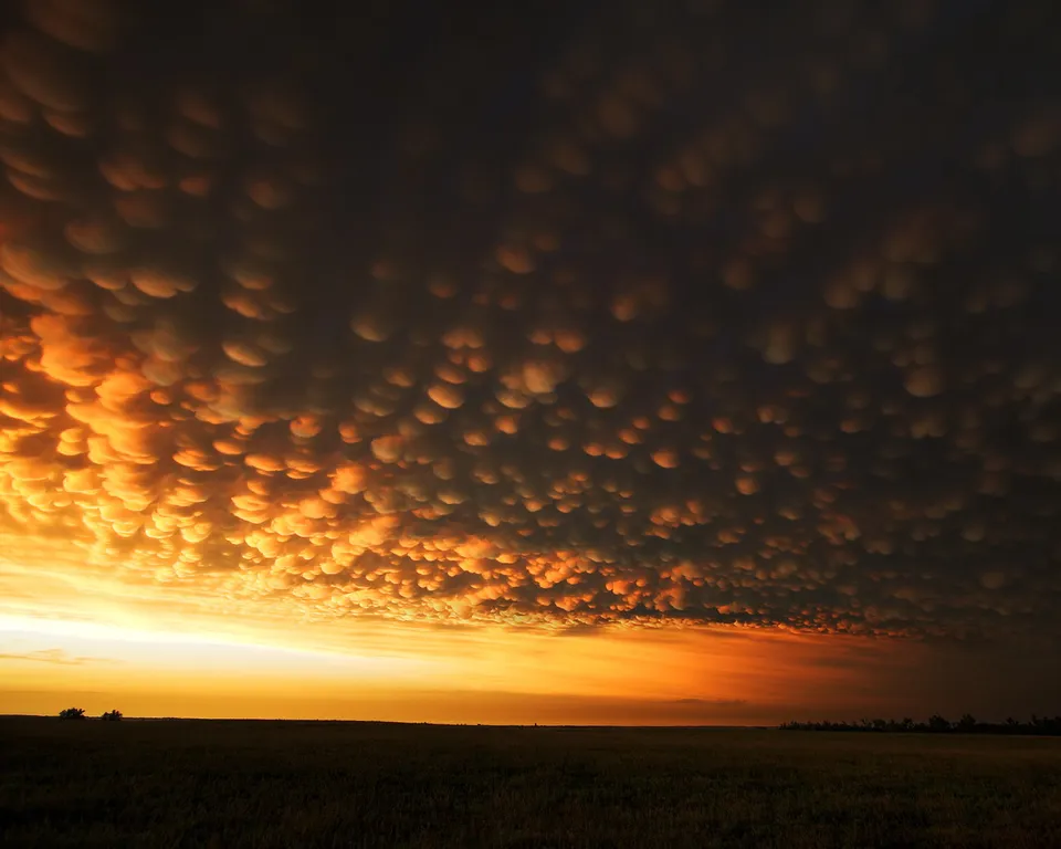 Dramatic mammatus clouds illuminated by sunset glow over a dark field.