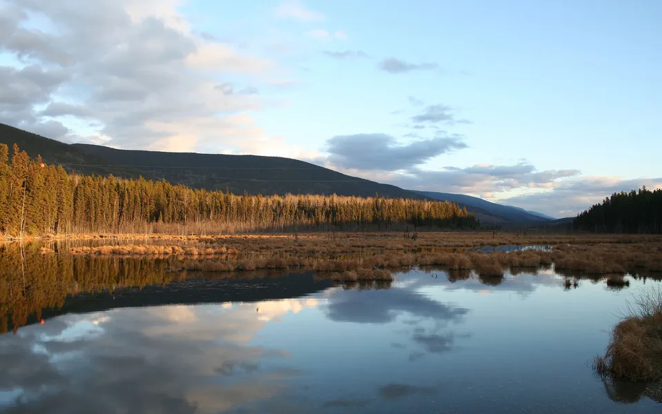 A calm lake reflects a forest and hills under a cloudy sky during golden hour.
