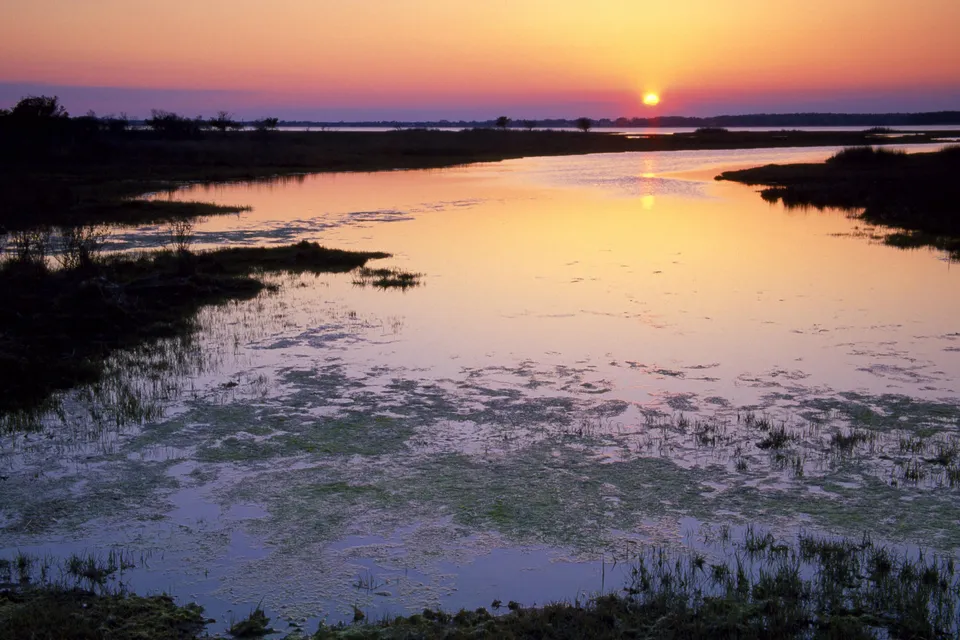 A vibrant sunset over a marshy landscape with calm water reflecting the sky.