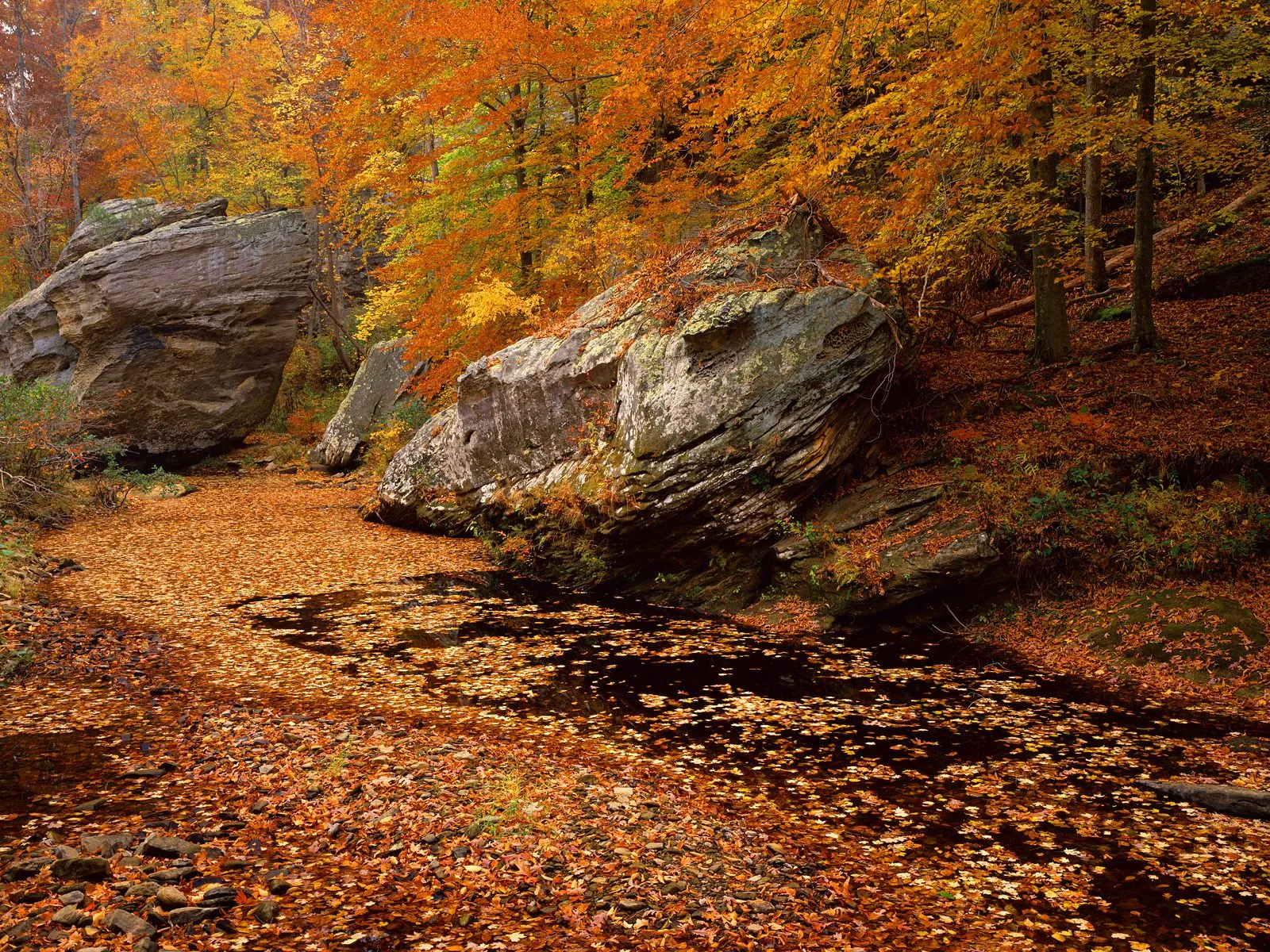 Large boulders frame a forest stream covered in fallen autumn leaves.