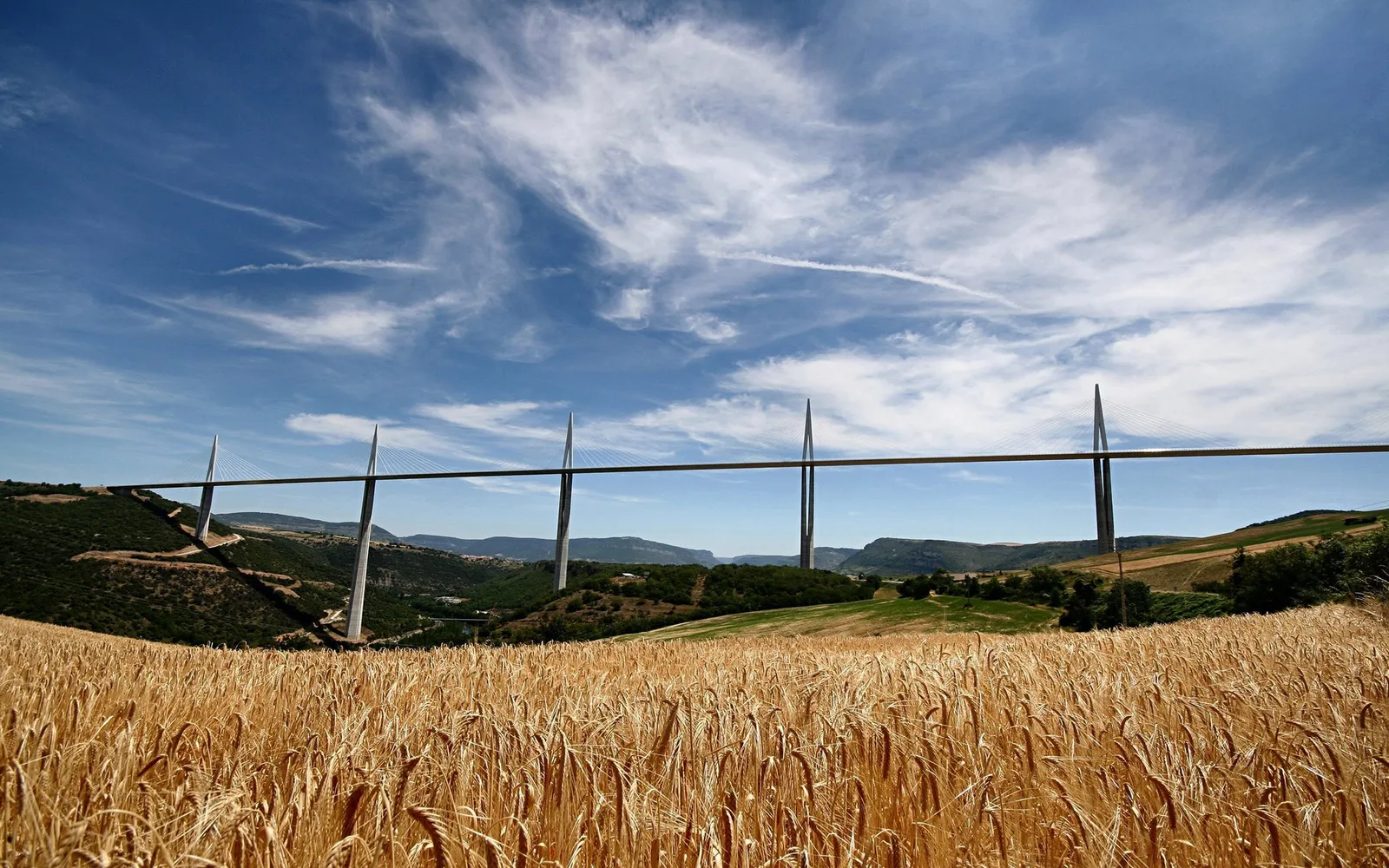 A wide shot of the Millau Viaduct bridge spanning a valley, with a foreground of golden wheat fields under a blue sky.