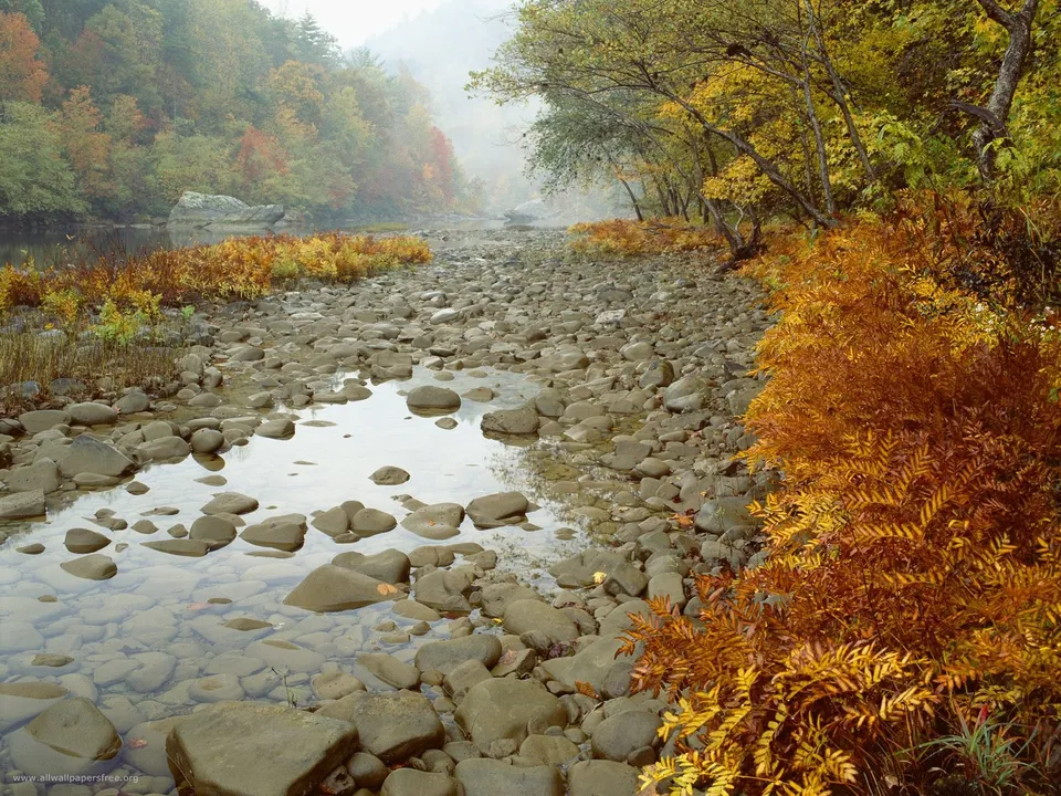 A wide, shallow river flows over smooth grey stones, with misty autumn foliage lining the banks.