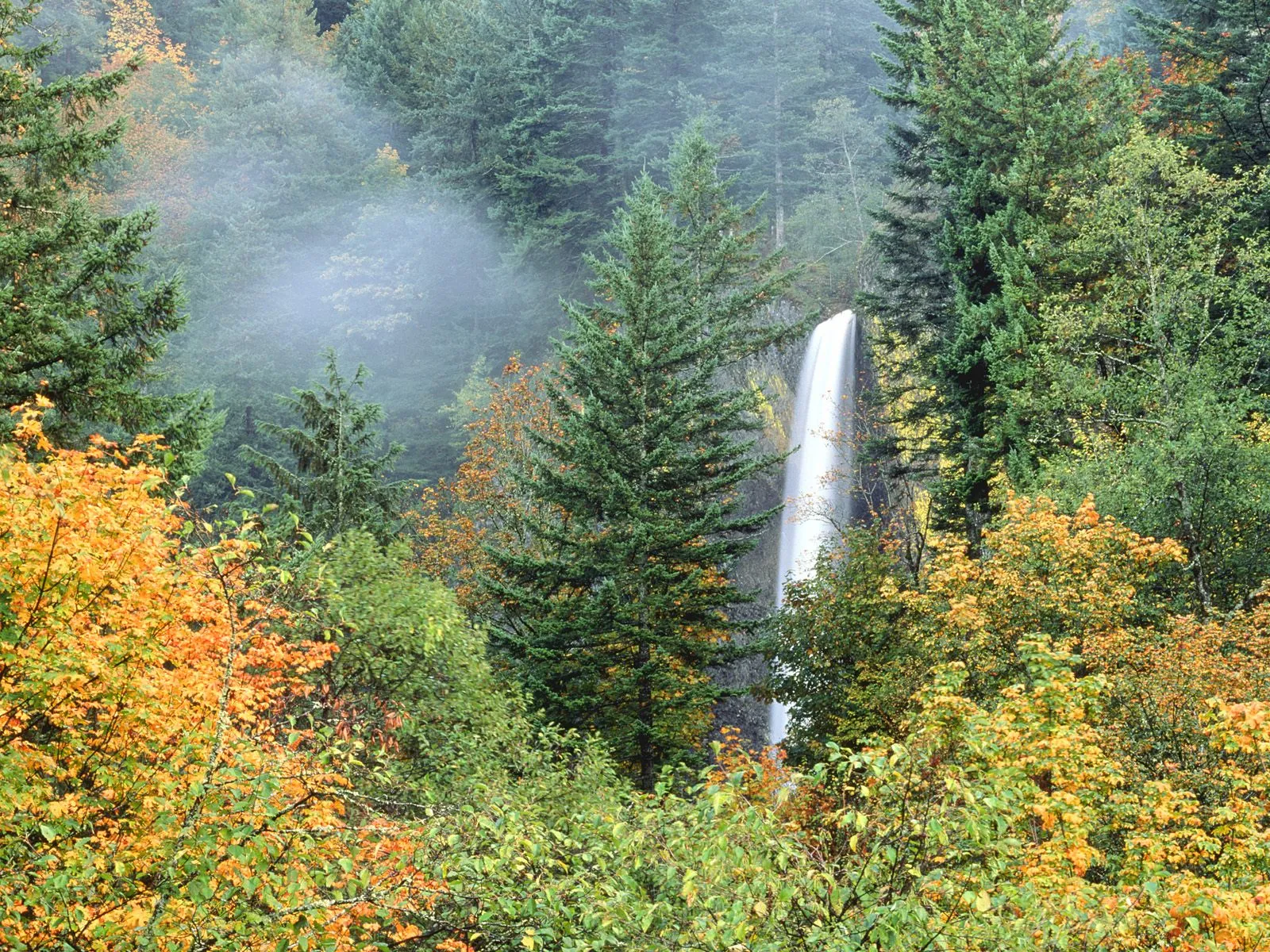 A tall waterfall cascades through a misty autumn forest with vibrant yellow and orange leaves.