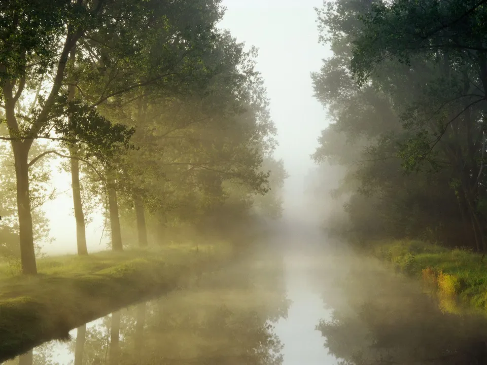 A calm canal lined with trees on both sides, shrouded in a thick morning mist.