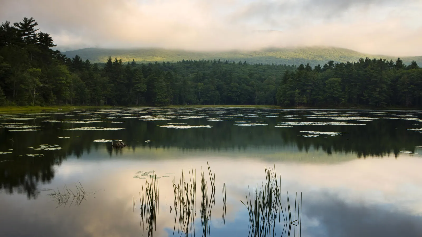 A calm lake reflects the misty, tree-covered hills and cloudy sky.