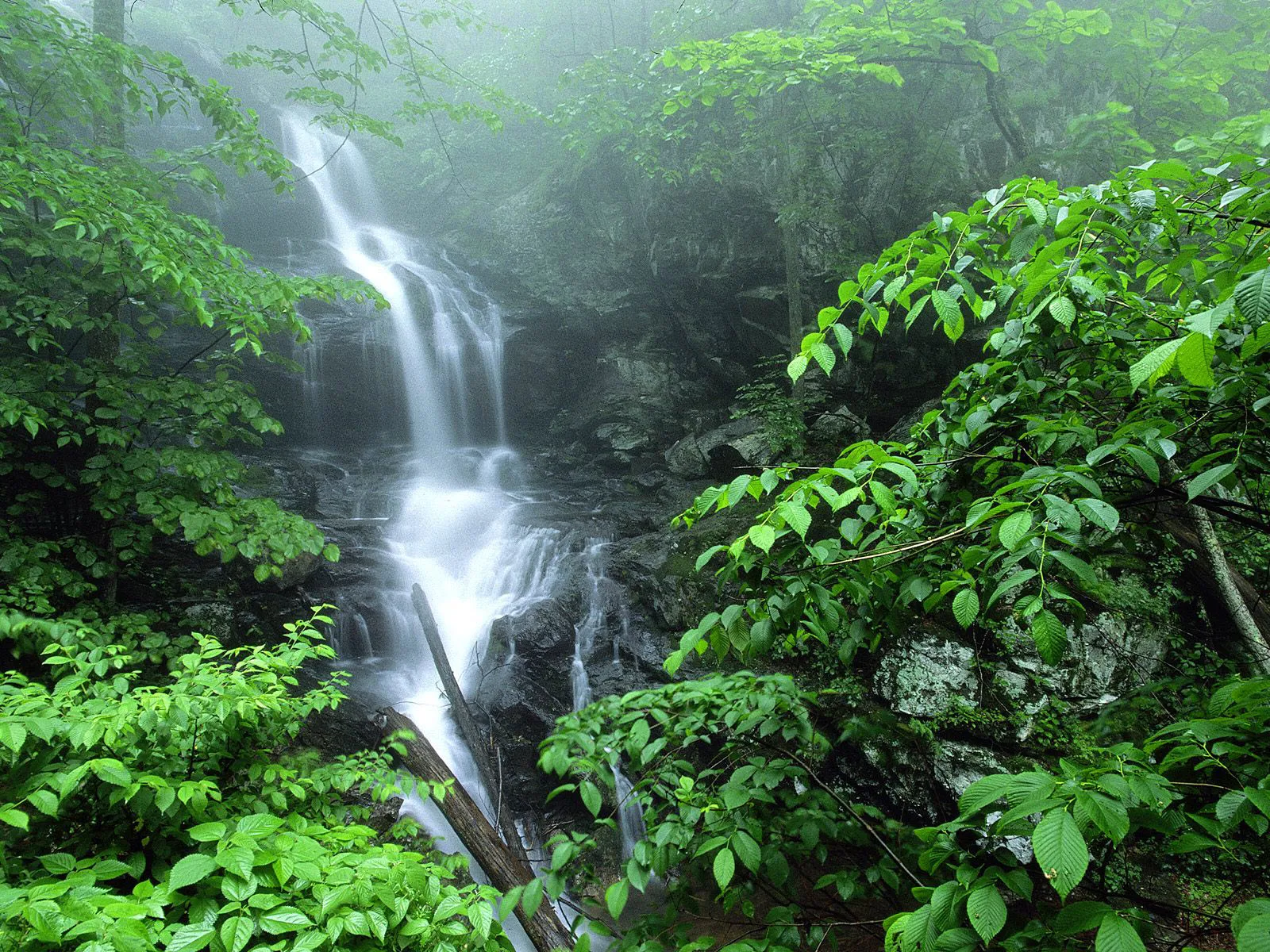 A misty waterfall flows down mossy rocks surrounded by lush green foliage.