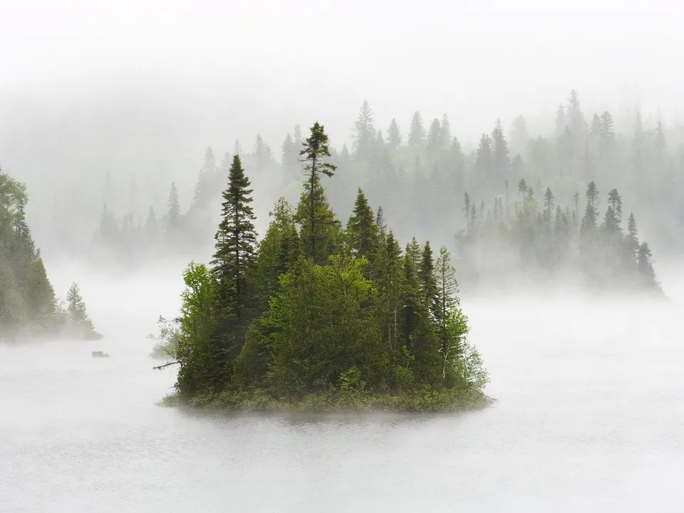 A small island covered in dense green trees is surrounded by a calm lake shrouded in thick fog.