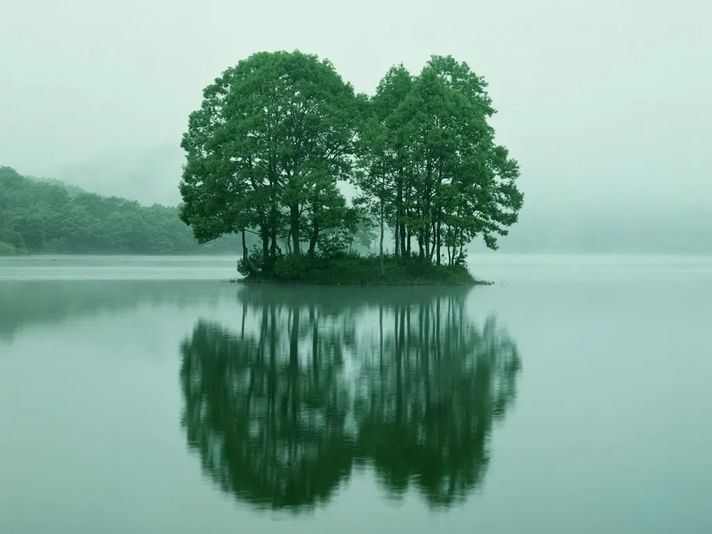 A small island with lush green trees stands in a calm lake, its reflection mirrored perfectly on the water's surface.