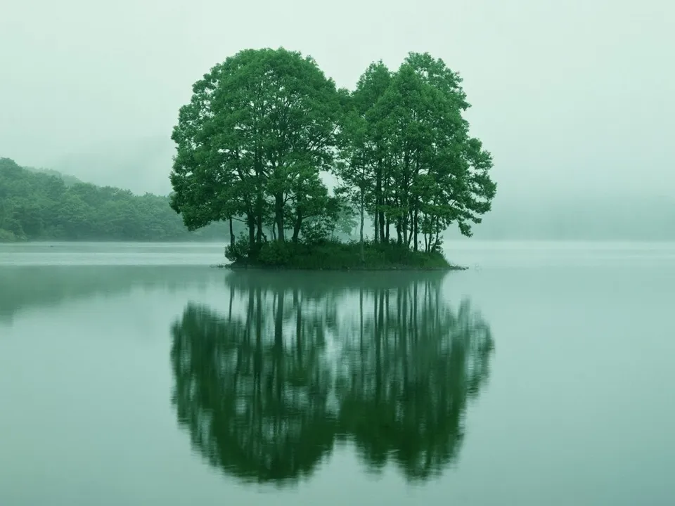 A small island with lush green trees stands in a calm lake, its reflection mirrored perfectly on the water's surface.