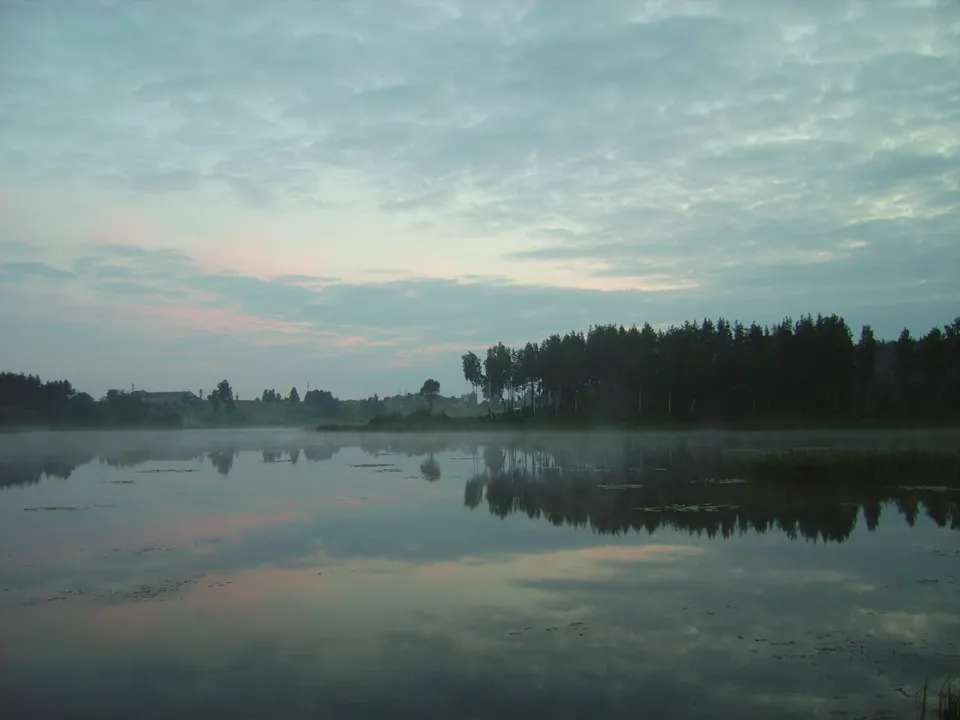 A calm lake reflects the sky and trees under a cloudy sky at dawn, with mist rising from the water.
