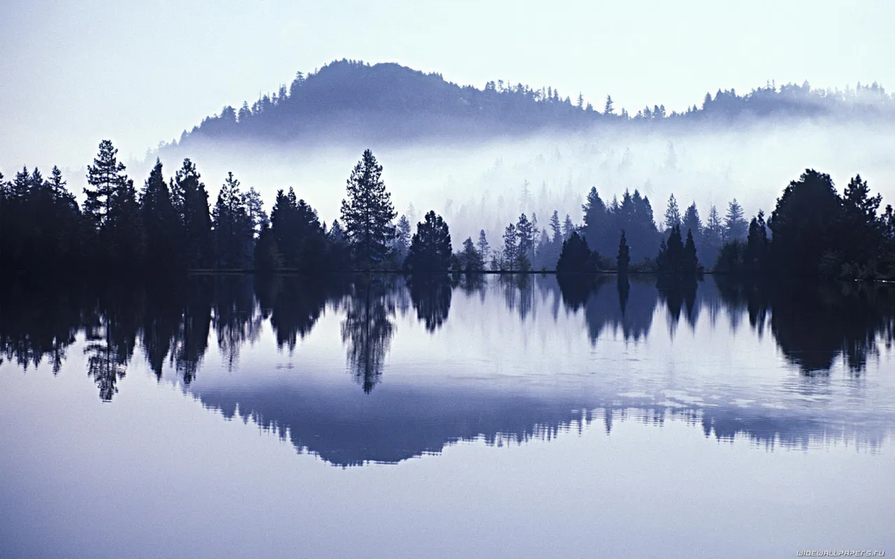 A serene lake reflects a dense forest and misty mountains under a pale sky.