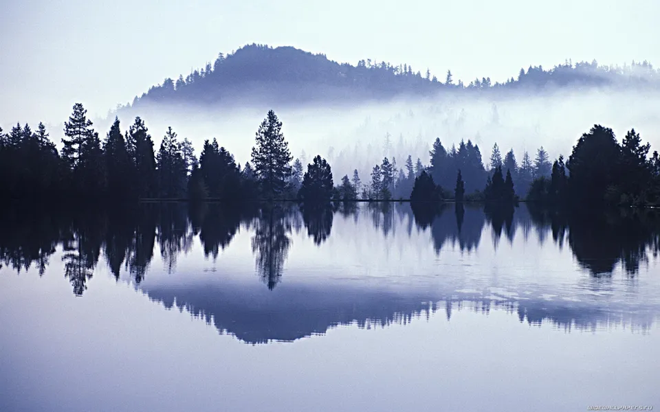 A serene lake reflects a dense forest and misty mountains under a pale sky.