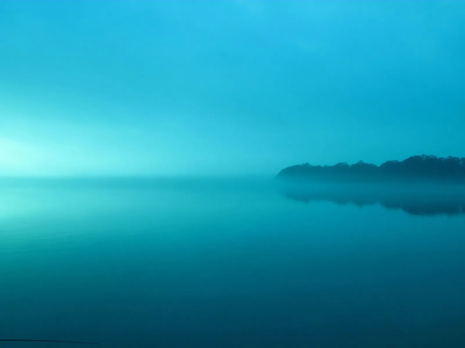 A serene lake shrouded in mist with a silhouetted treeline on the horizon.