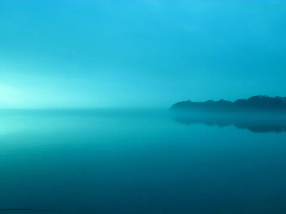 A serene lake shrouded in mist with a silhouetted treeline on the horizon.