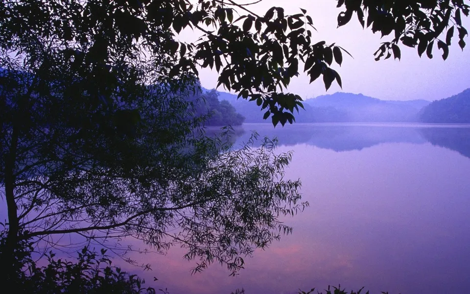 A serene lake shrouded in mist, with silhouetted trees in the foreground and rolling hills in the background.