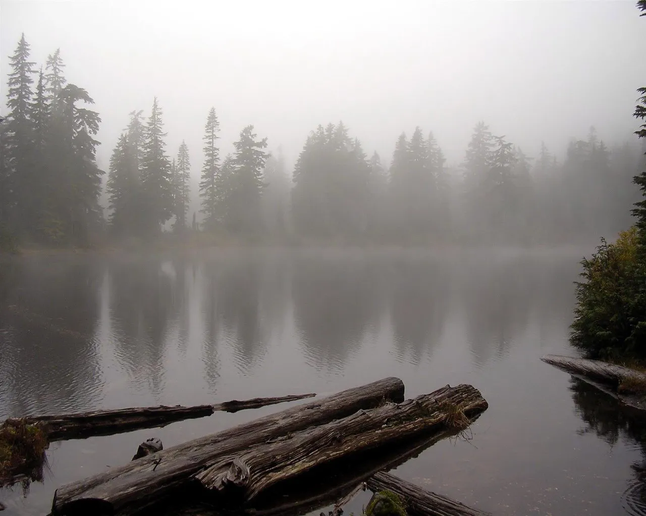 A calm lake shrouded in mist with silhouetted pine trees on the shore and fallen logs in the foreground.