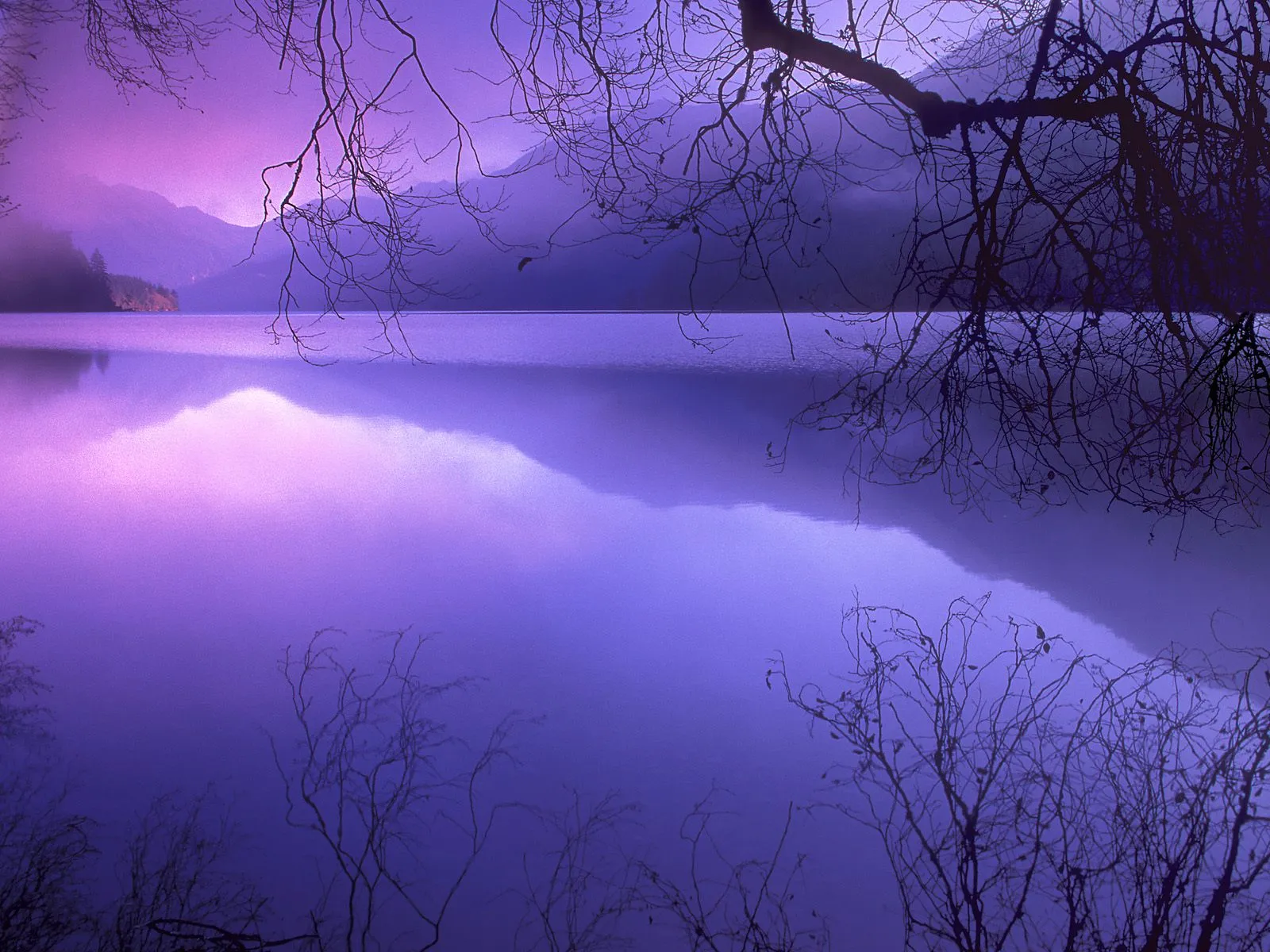 A misty lake with mountains reflected in the water, framed by bare tree branches.