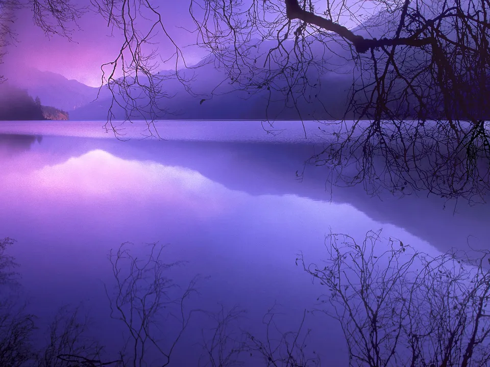 A misty lake with mountains reflected in the water, framed by bare tree branches.